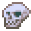 Early Human Skull.png