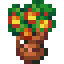 Potted Bloom Tree